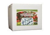 Native Typhoon Tablets