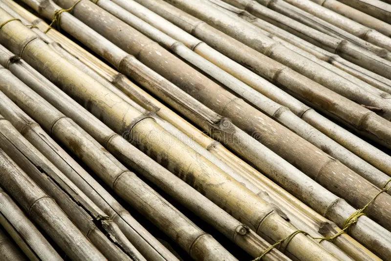 Bamboo 90cm 6-8mm (1000)