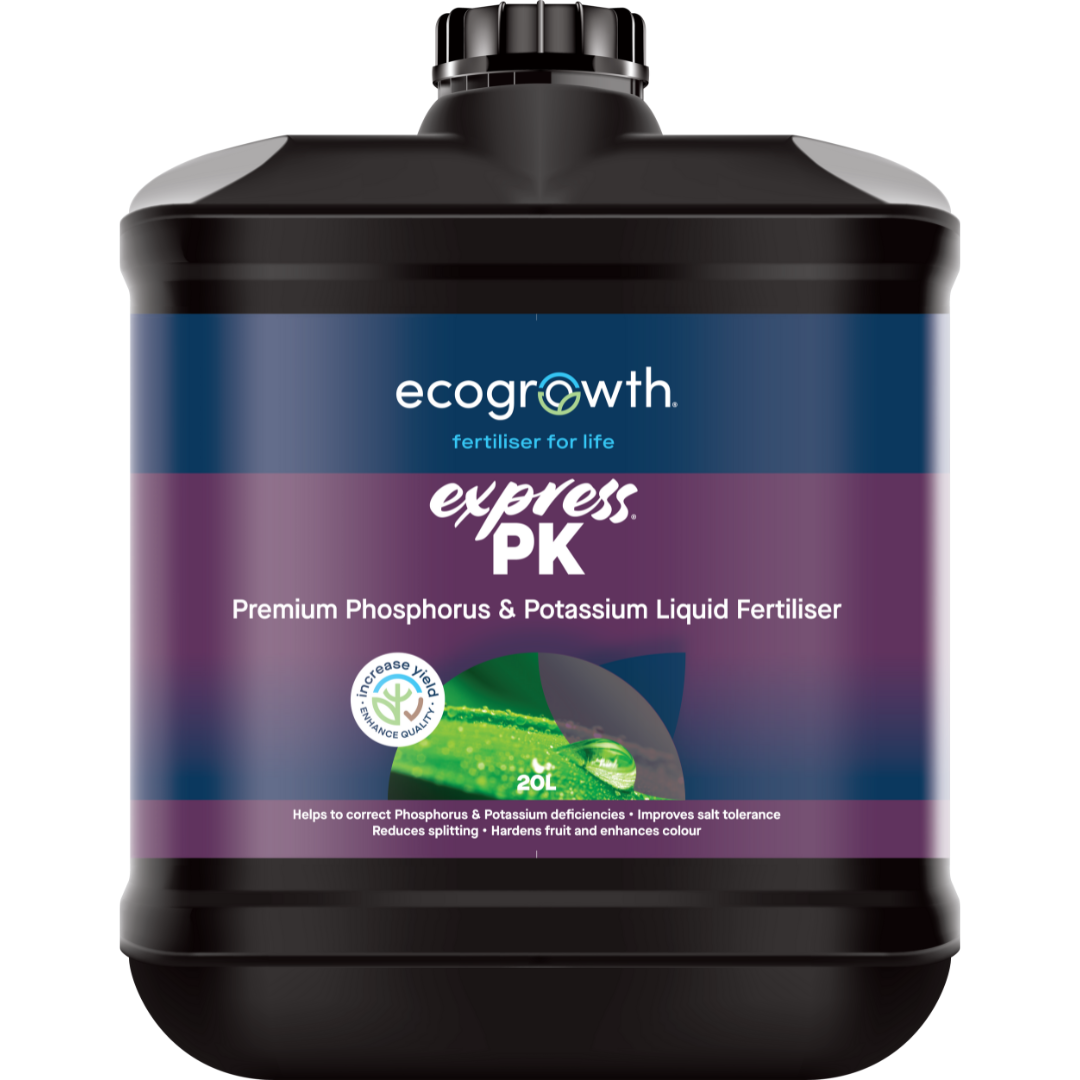 Express PK - 20 Litre