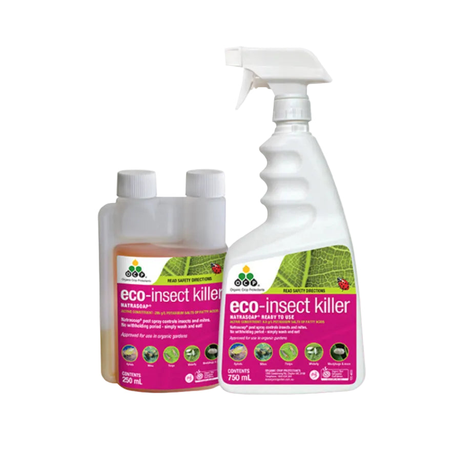 White OCP Eco-Insect Killer spray bottle (750ml) and refill (250ml) with pink labels and green leaf design.